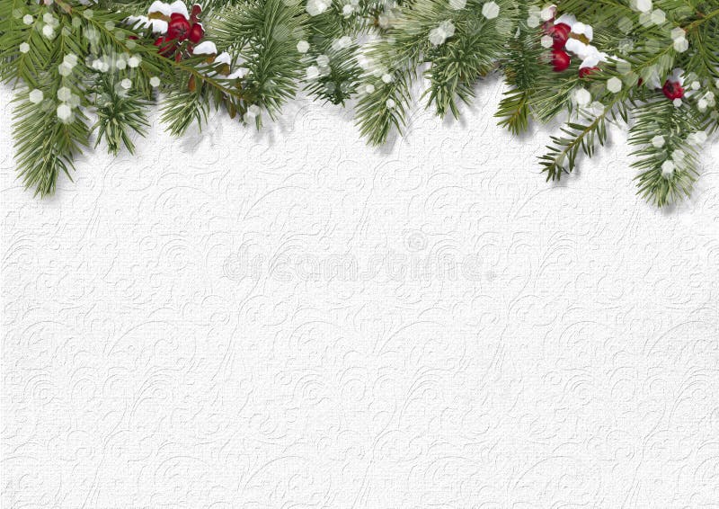 Christmas background with beautiful dÃ©cor of fir branches, holly and poinsettia with place for photos or congratulations. Christmas background with beautiful dÃ©cor of fir branches, holly and poinsettia with place for photos or congratulations