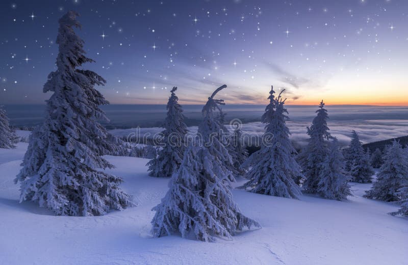Christmas background of snowy winter landscape with snow or hoarfrost covered fir trees and copy space - winter magic holiday royalty free stock photo Christmas background of snowy winter landscape with snow or hoarfrost covered fir trees and copy space - winter magic holiday royalty free stock photo