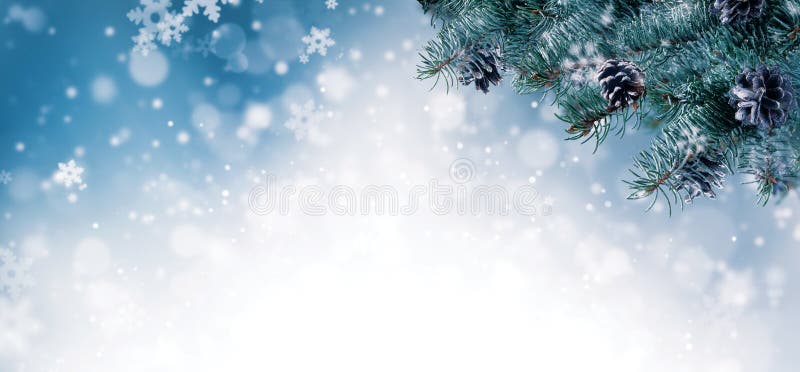 Christmas background with spruce branches and cones with snow fl