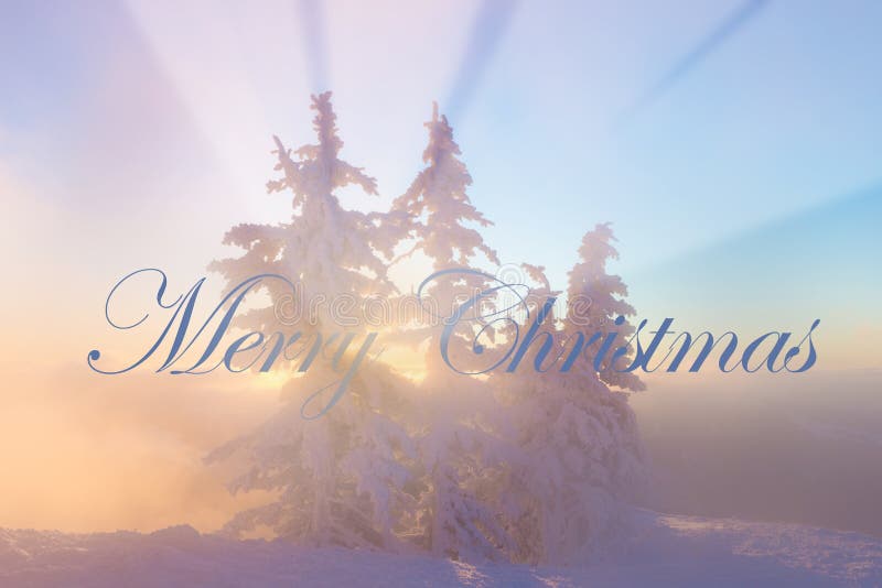 Christmas background with winter landscape in the mountains during sunrise/ Beautiful sunrise light