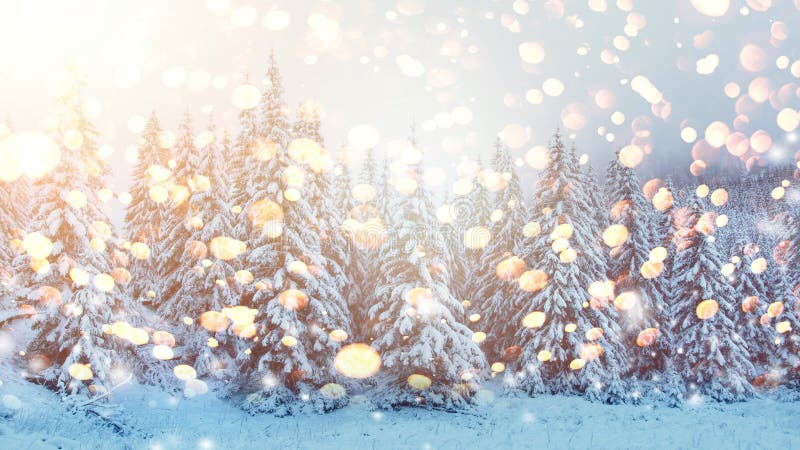 Christmas background. Winter scene with bright glowing snowflakes. Snowy forest royalty free stock photography Christmas background. Winter scene with bright glowing snowflakes. Snowy forest royalty free stock photography