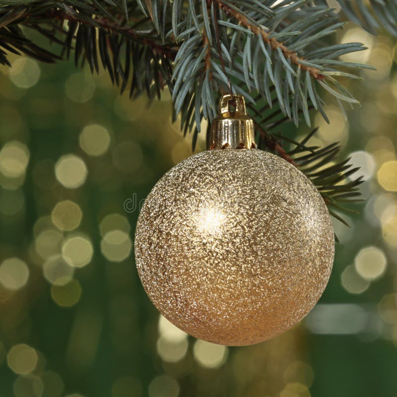 Two Golden Christmas Decorations Hanging from a Tree Stock Image ...