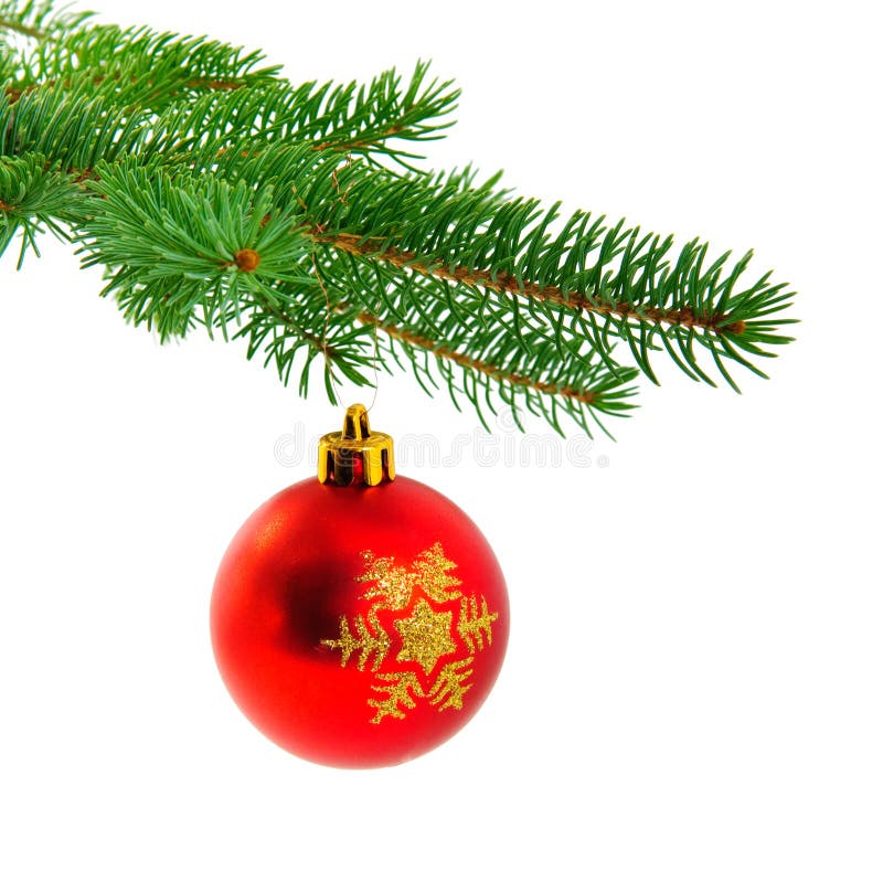 Christmas ball on fir pine branch