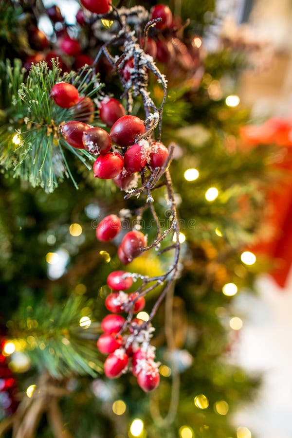 Christmas berry stock photo. Image of decorations, celebrate 35327380