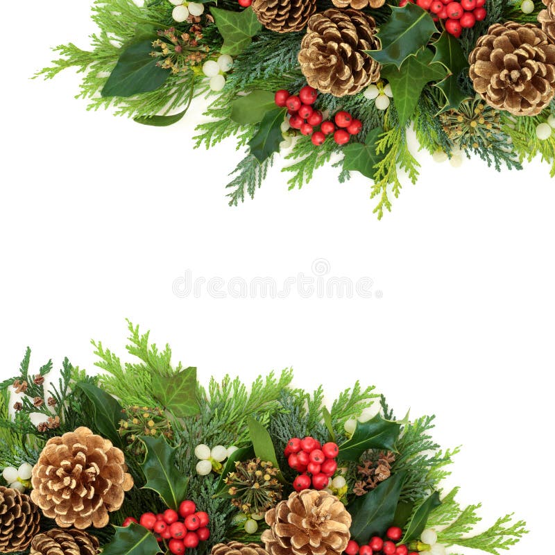 Christmas Border with Gold Pine Cones and Winter Greenery Stock Image ...