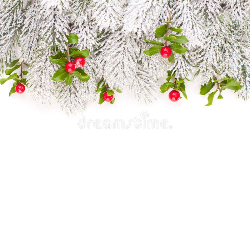 Christmas border with green Xmas tree twig and holly berries and leaves stock images Christmas border with green Xmas tree twig and holly berries and leaves stock images