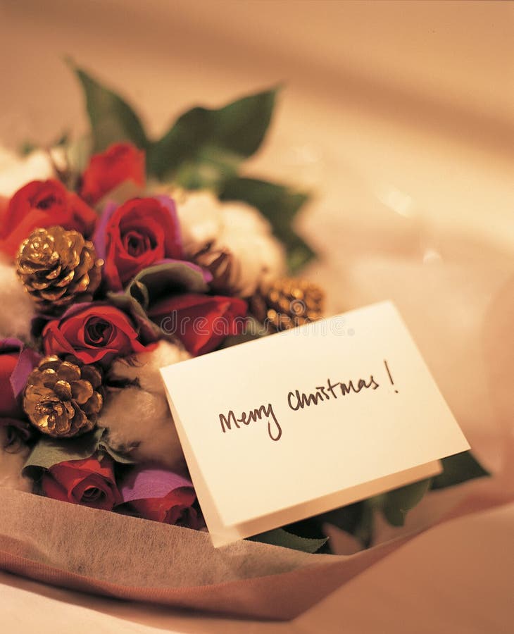 Download Christmas Bouquet stock photo. Image of flowers, ornament - 107078