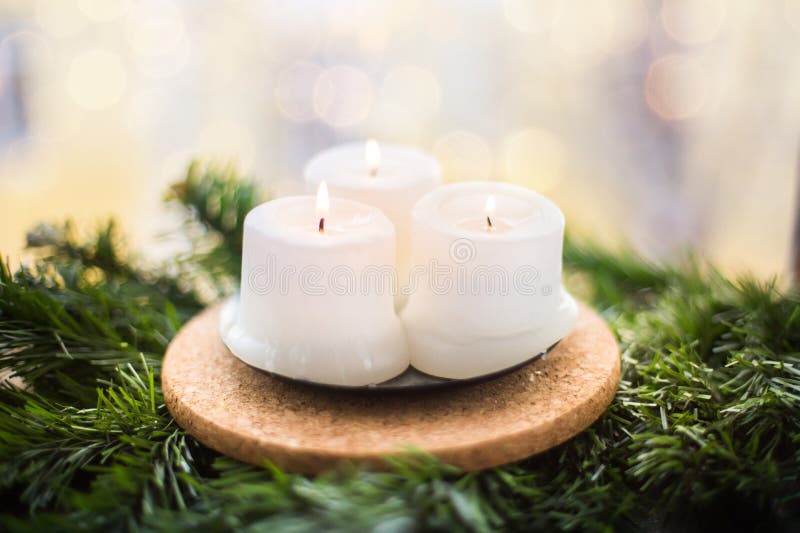 Christmas Candles on a Fir Branch Stock Image Image of christmas