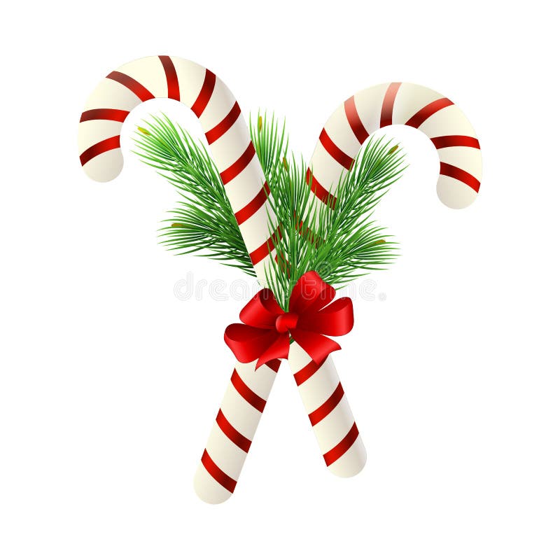 Christmas Candy Cane Decorated with a Bow and Tree Branches Stock Vector Illustration of