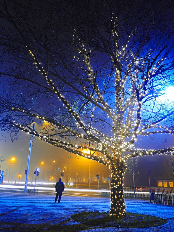 Christmas City Lights editorial stock image. Image of tree 48044504