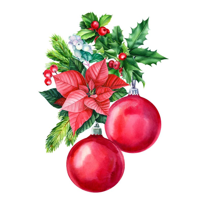 Poinsettia Flowers And Christmas Floral Elements In Watercolor