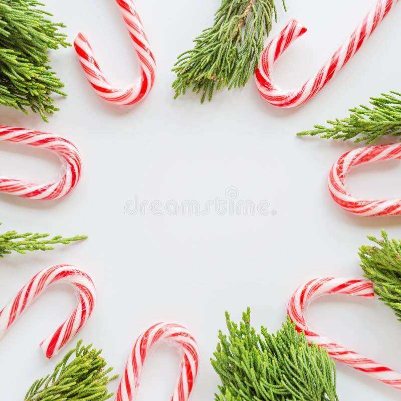 Christmas composition. fir branches and lollipop cane on white background. new year concept. Greeting card, winter holidays, xmas. Celebration 2020. Flat lay royalty free stock photography