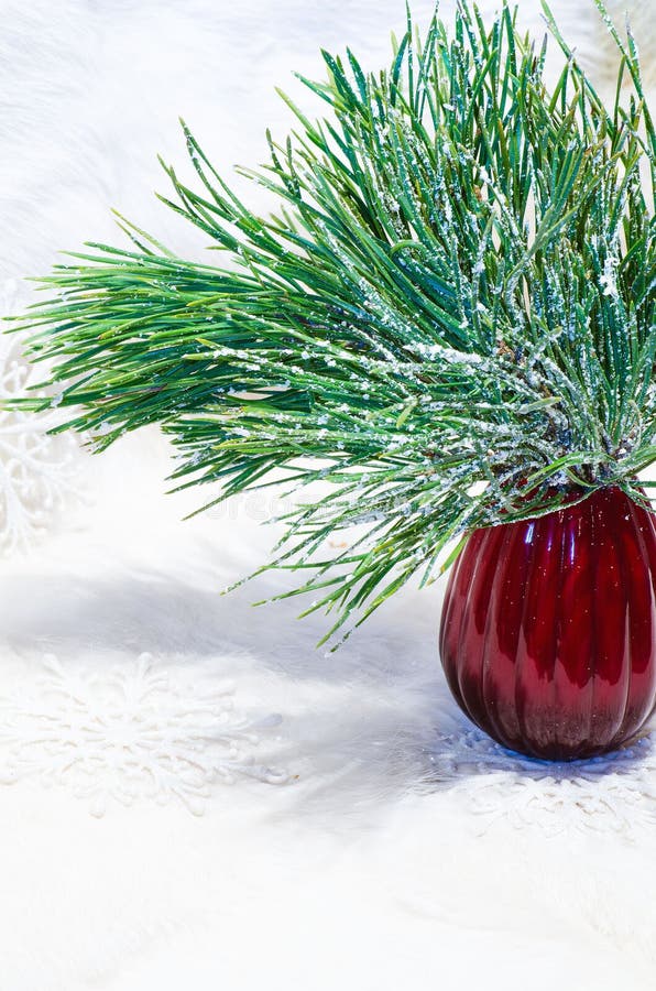 Christmas Composition with Vase and Pine Branch Stock Image Image of
