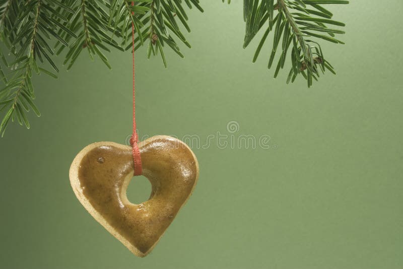Christmas cookie hanging from fir branch