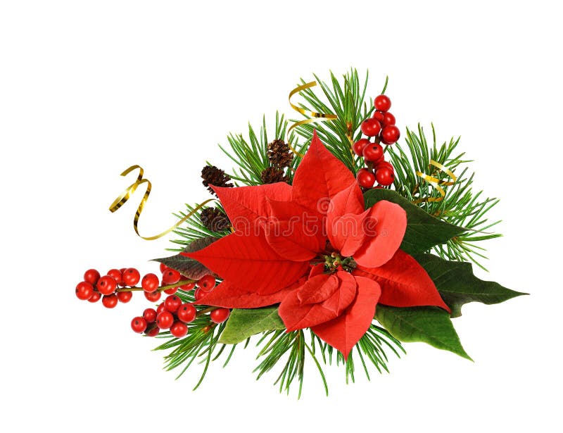 Christmas Corner Arrangement with Red Poinsettia Flower , Berries ...