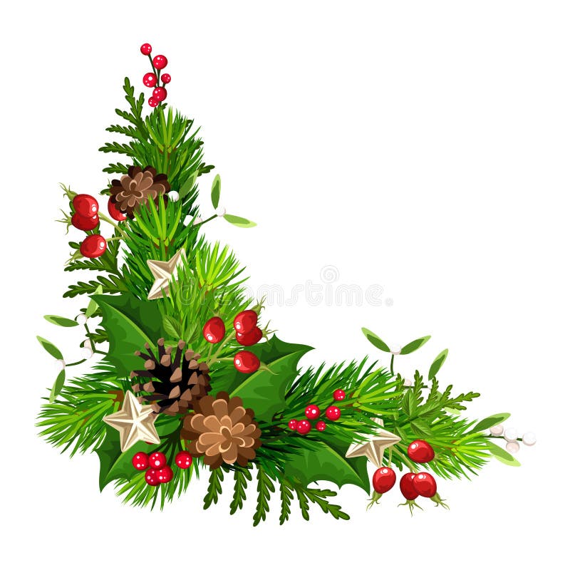 Christmas Corner Decoration with Fir Branches, Cones, and Holly. Vector ...