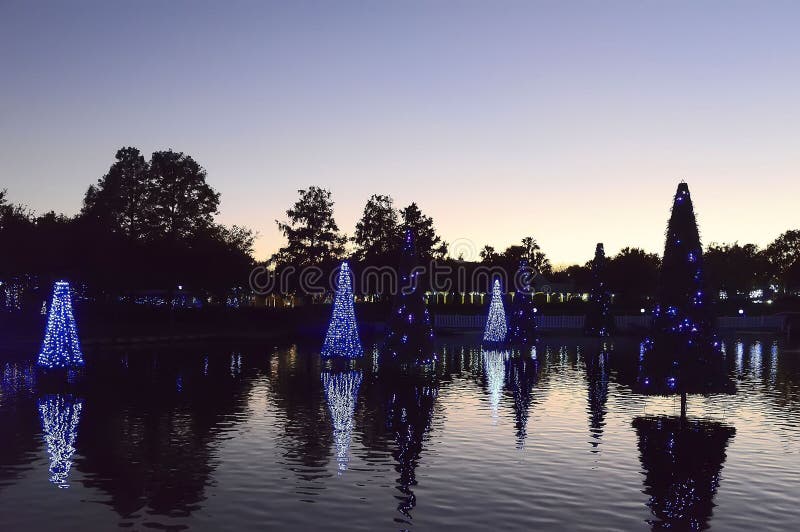 Christmas decorated fir trees in Orlando royalty free stock images