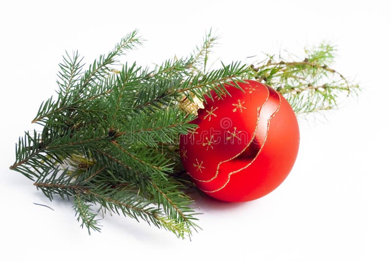 Country Christmas stock photo. Image of head, xmas, christmas - 3766248