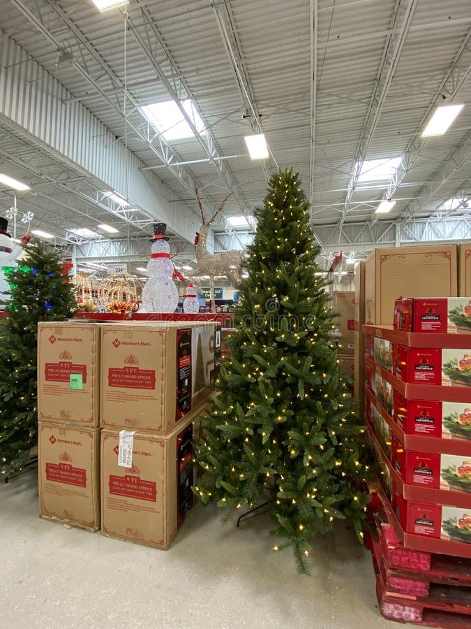 The Christmas Decoration Aisle of a Sams Club Editorial Photography - Image  of front, indoor: 160870262