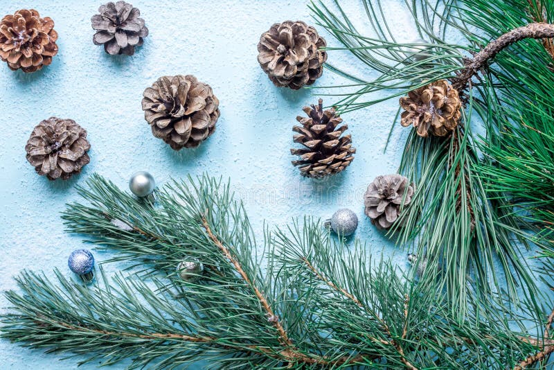 Christmas decoration. Branch christmas tree and cones spruce on snow. Top view, flat lay