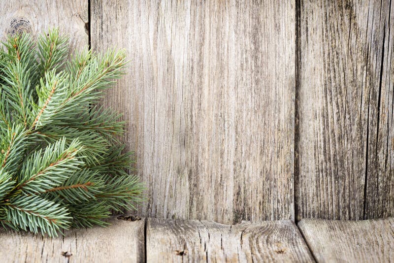 Christmas decoration with fir branches on the wood background.