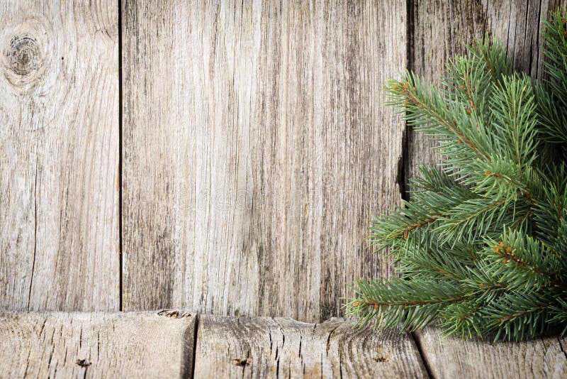 Christmas decoration with fir branches on the wood background.