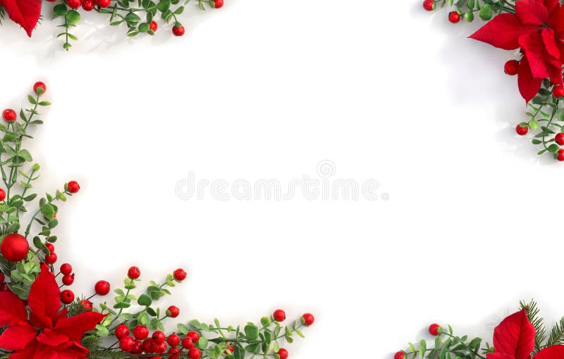 Christmas decoration. Frame of flowers of red poinsettia, branch christmas tree, red berries on white background