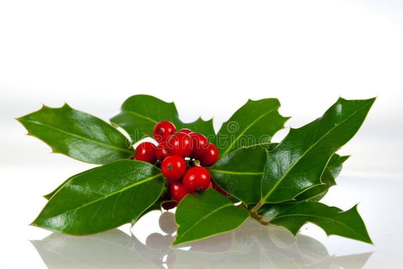 Christmas decoration with holly leaves and berries