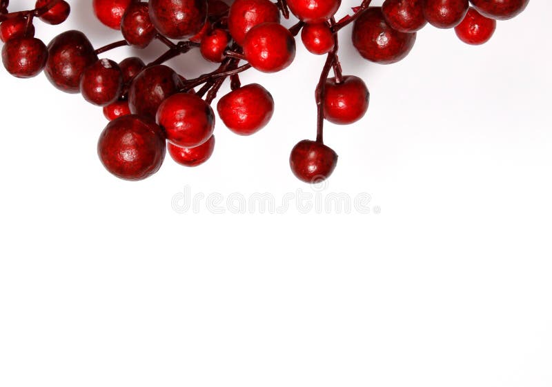 Christmas decoration from red berries