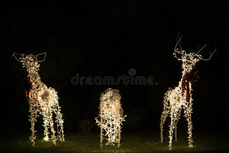 Christmas Decorations Glowing Outside at Night in Front of a House