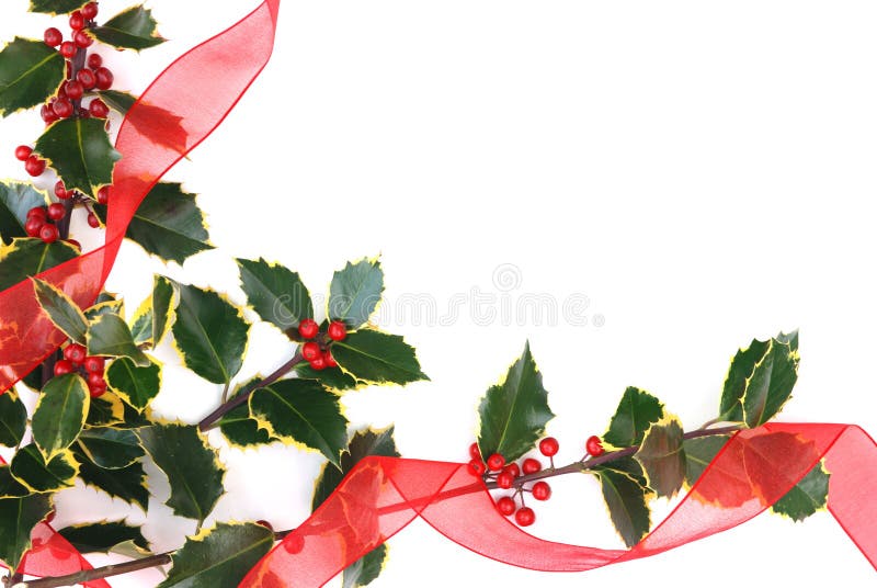 Christmas Decorations with Holly Berries Stock Photo Image of card
