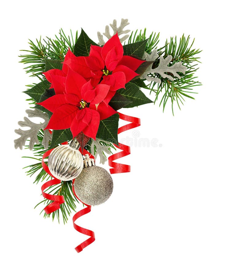 Christmas Decorations and Poinsettia Flowers in a Holiday Corner Stock ...
