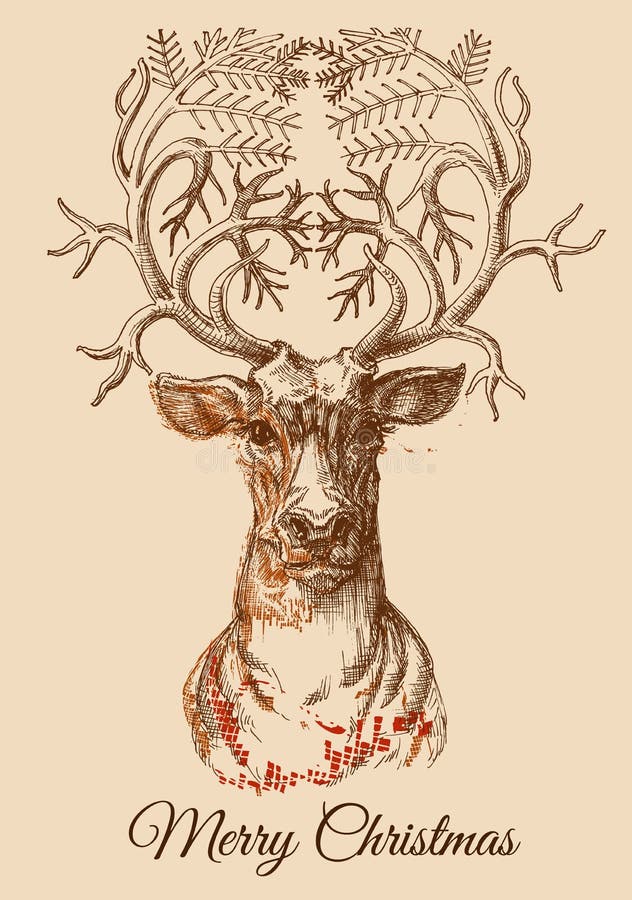 Deer Watercolor Painting Drawing PNG, Clipart, Antler, Cartoon, Christmas  Deer, Deviantart, Fauna Free PNG Download