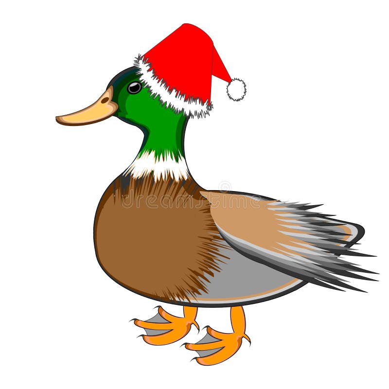 Christmas Duck 