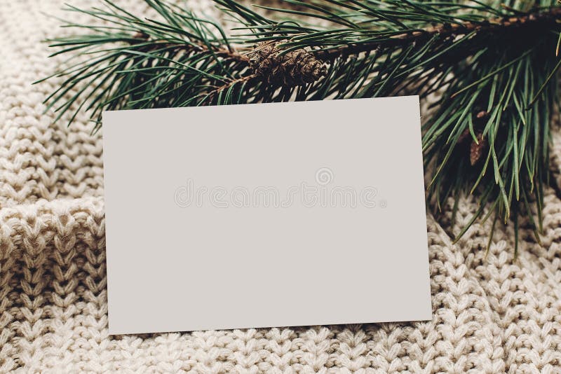 Christmas empty card. blank christmas note or wish list on stylish simple knitted sweater with fir for christmas holidays. eco design. xmas seasonal greetings mock up. letter to santa claus