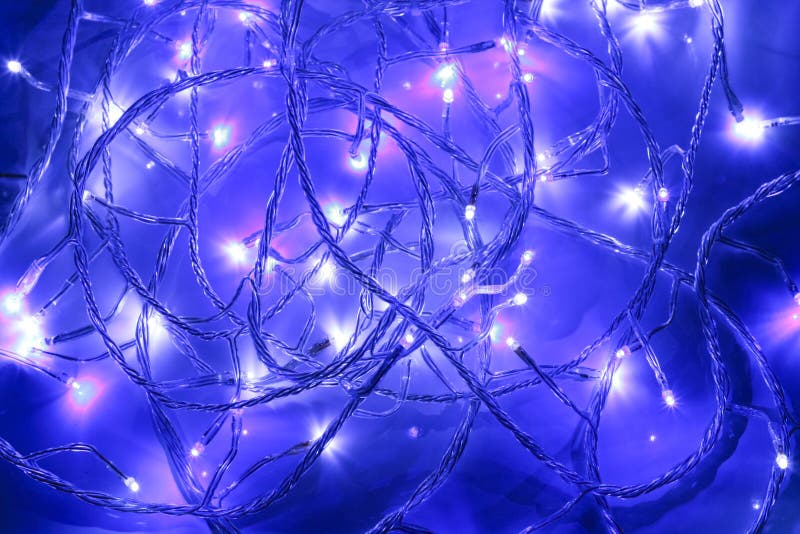 Blue Treetop with Fairy Lights for Christmas Stock Photo Image of