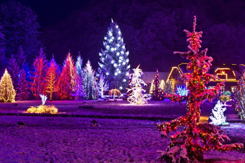 Christmas Fantasy - Park & Forest In Xmas Lights Stock Photo - Image of ...