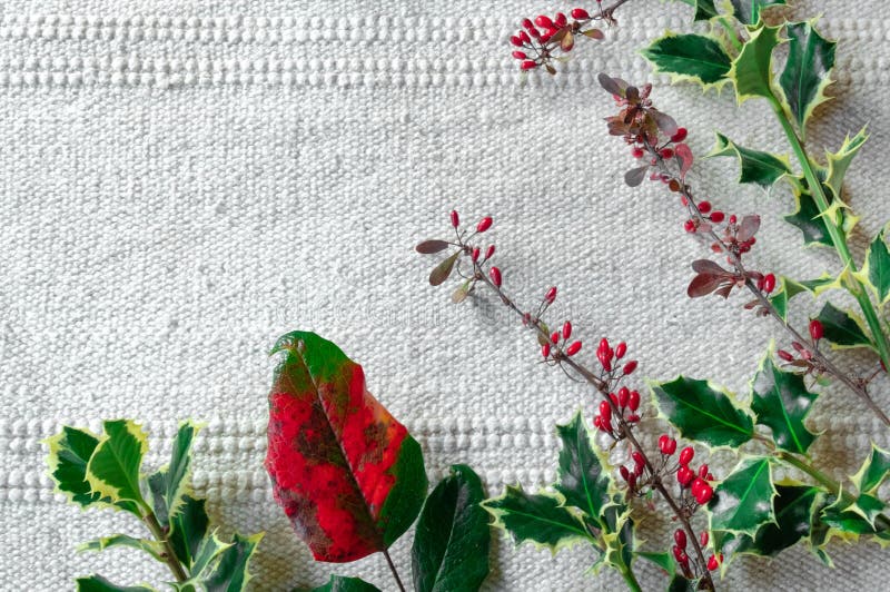 Christmas festive table New Year white pink red green berry cornel dogwood branch canvas background copy space stock photography Christmas festive table New Year white pink red green berry cornel dogwood branch canvas background copy space stock photography