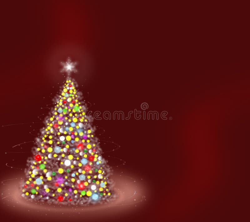 Christmas fir