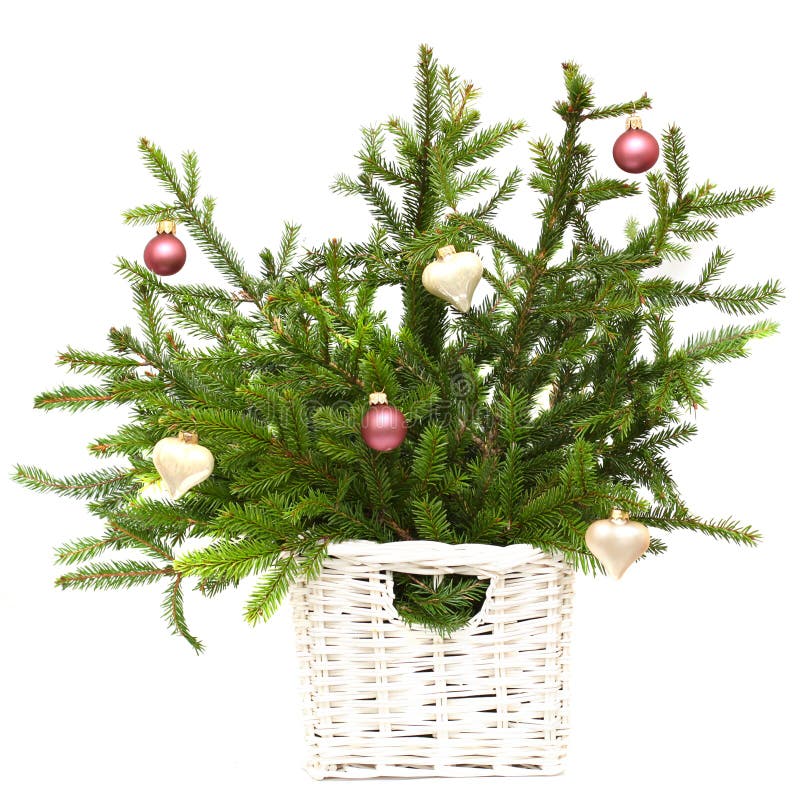 Christmas fir with decoration isolated royalty free stock images Christmas fir with decoration isolated royalty free stock images