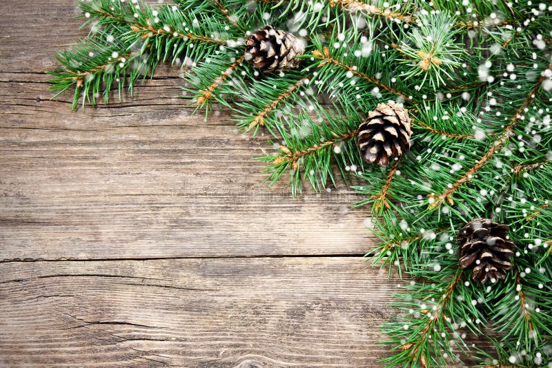 Christmas tree backgrounds stock image. Image of ideas - 17466261