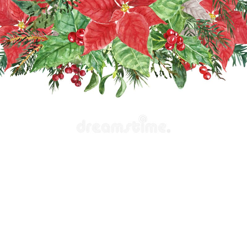 Christmas decorative floral garland illustration. Watercolor spruce and pine tree branches, red poinsettia flowers, holly berries on white background. Holiday frame. hand painted illustration. Christmas decorative floral garland illustration. Watercolor spruce and pine tree branches, red poinsettia flowers, holly berries on white background. Holiday frame. hand painted illustration