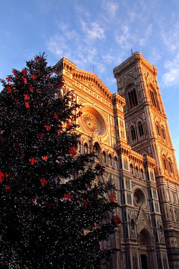 Christmas in Florence, Christmas tree in Piazza del Duomo in Florence with the Cathedral and the Giotto bell tower in the