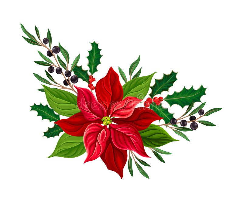 Christmas Flower Composition with Mistletoe Twigs and Blackcurrant Branch Vector Illustration Stock Vector - Illustration of celebration, berry: 173714755 Christmas Flower Composition with Mistletoe Twigs and Blackcurrant Branch Vector Illustration Stock Vector - Illustration of celebration, berry: 173714755