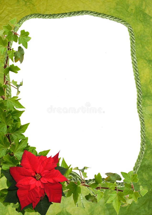 Christmas frame with poinsettia