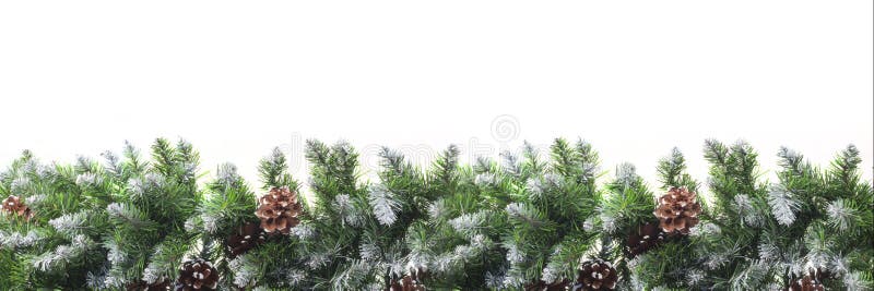 Christmas frame with snow-covered branches of fir-pine, with cones, isolated on white background. Christmas and New Year concept.