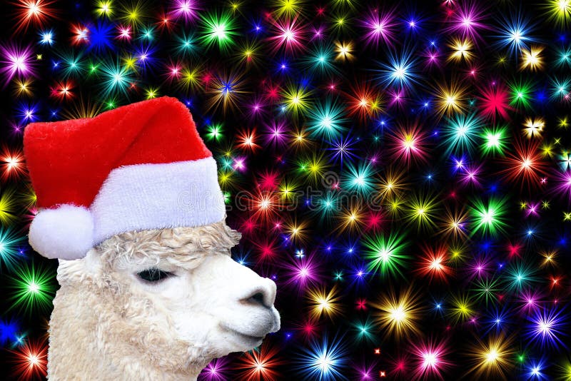 Funny Christmas Animal Card a Llama Wearing a Christmas Elf Hat Isolated on  a Black Background with Colorful Stars Stock Photo - Image of head, llama:  128060938