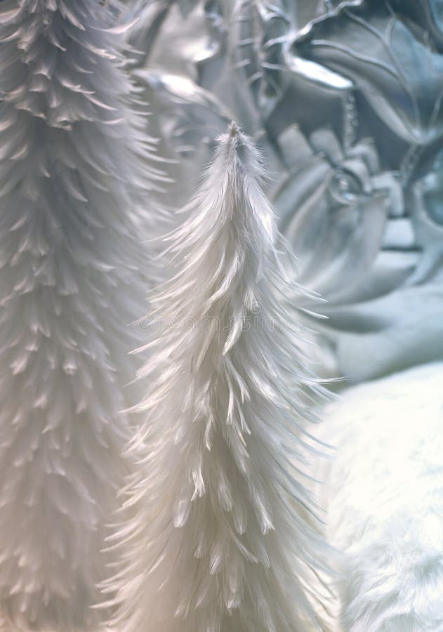 Christmas furtree stock image. Image of math, festive 26788511