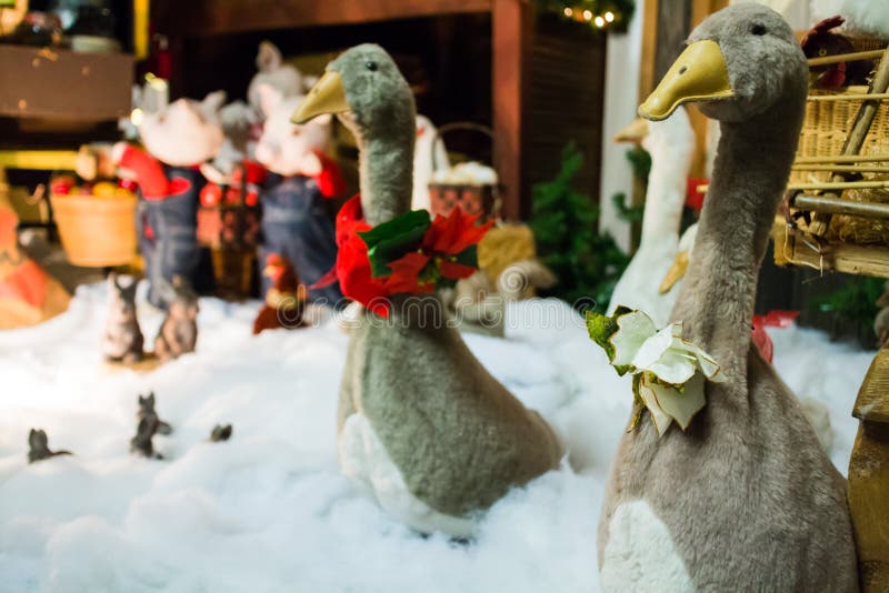 Christmas Geese stock photo. Image of goose, husband 12263040