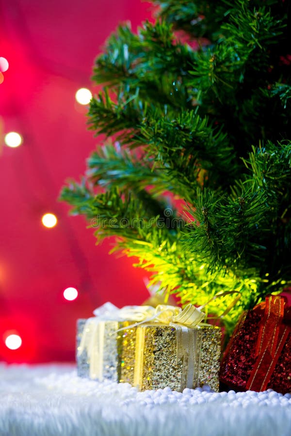 Christmas Gift Box with Christmas Tree Background Stock Photo Image